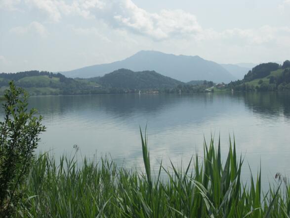 Großer Alpsee