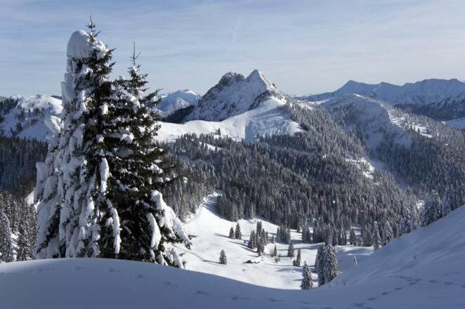 Blickfang auf dem Schönberggipfel sind Roß- und Buchstein