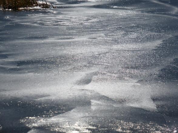 Spätherbstliche Eisdecke