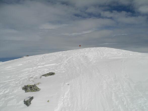 ...die letzten Meter zur Torspitze