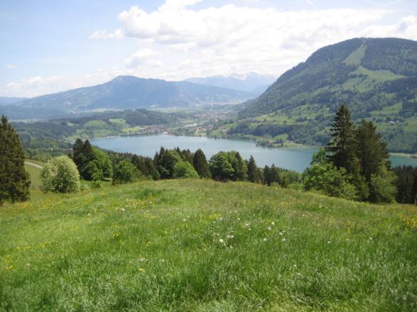 Blick auf den Gr. Alpsee.