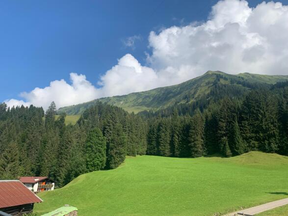 Blick auf den Fellhorngrat und Waldrand
