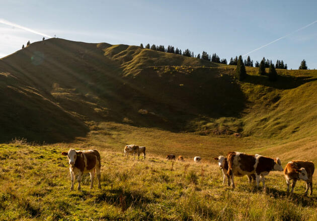 Blick zurück zum Seekarkreuz
