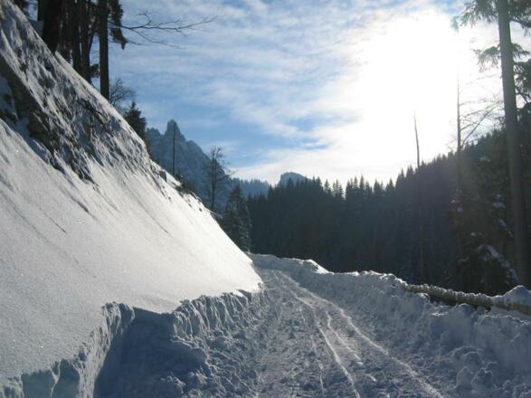 Bergwinter