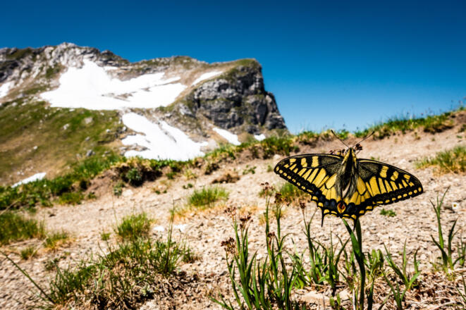 Blick zum Kleinen Daumen