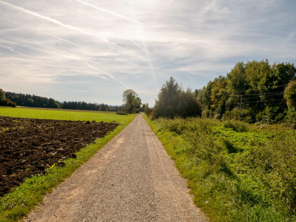 An der Bahn entlang nach Holzkirchen