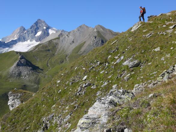 Zwischen Peischlachtörl und Glorer Hütte