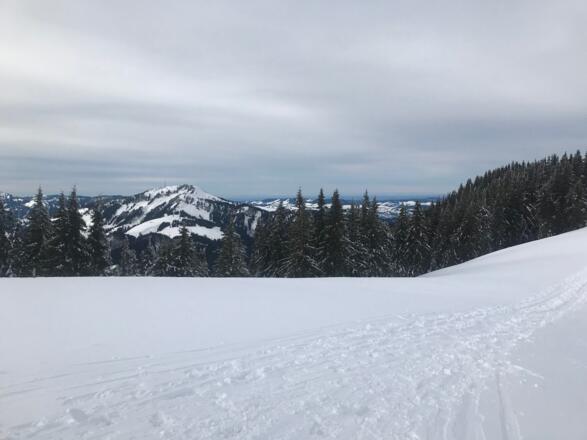 Grüntenblick vom Wertacher Hörnle