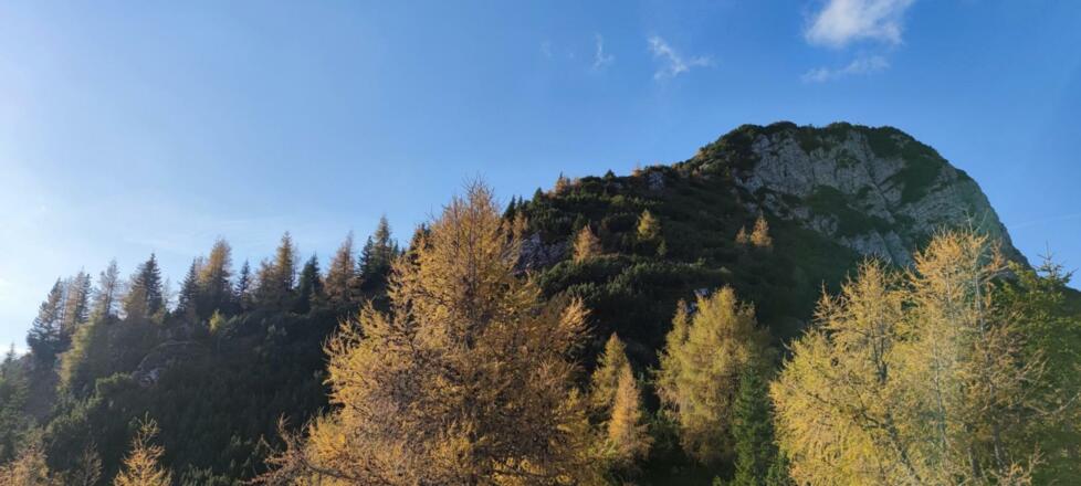 Blick auf den Riedkopf