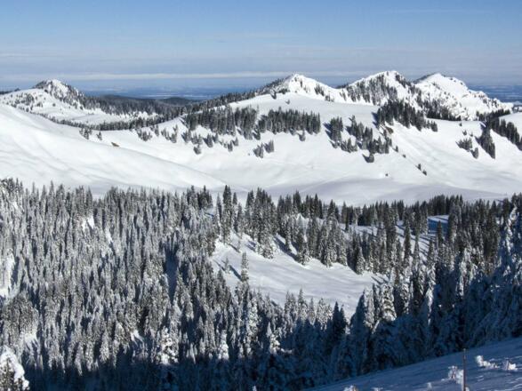 Erst in Gipfelnähe öffnen sich freie Blicke, wie hier zu Seekarkreuz und Kampen.