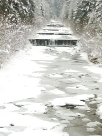 IMG_20210106_135627