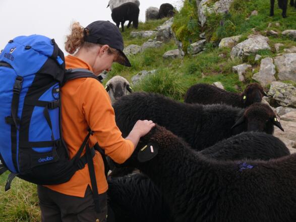 Auf dem Weg zur Wangenitzseehütte