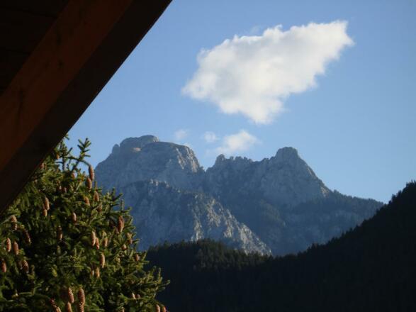 Der Säuling vom Balkon