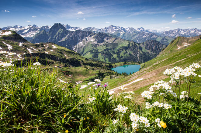 Seealpsee vom Zeigersattel aus gesehen, im Hintergrund die Höfats