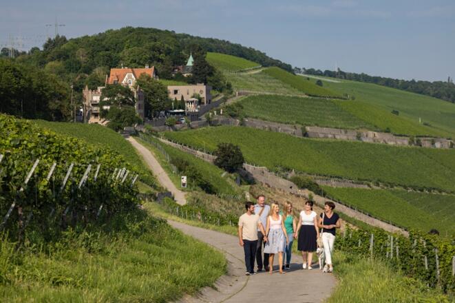 Tourismusregion Fränkisches Weinland