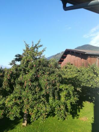 IMG_20180918_085313 (1)