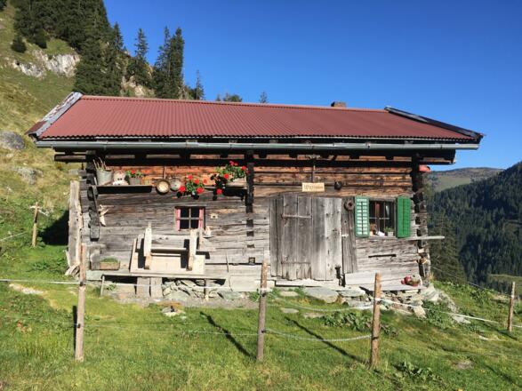Wirtsalm