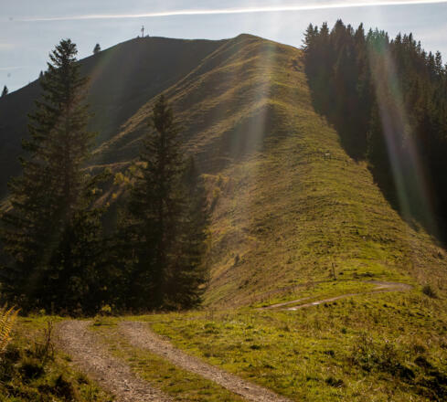 Am Scheitelpunkt - ein kurzer Abstecher zum Seekarkreuz.