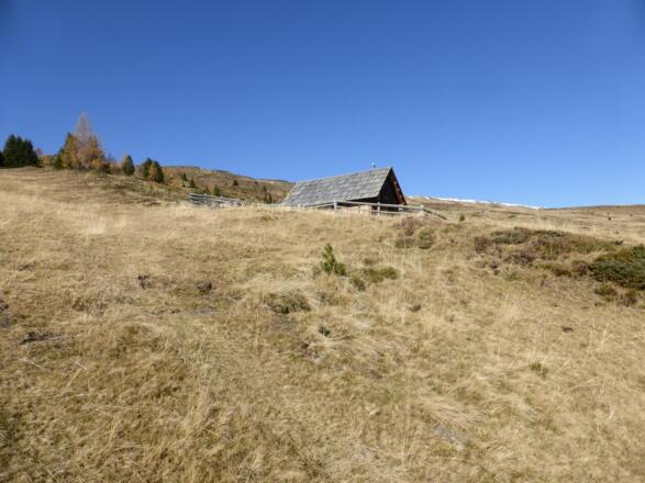 Almhütte oberhalb der Piste