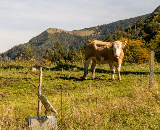 Am Hirschtalsattel - im Hintergrund das Hirschberghaus