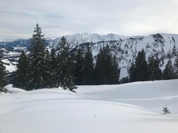 Auf Schneeschuhen zum Wertacher Hörnle