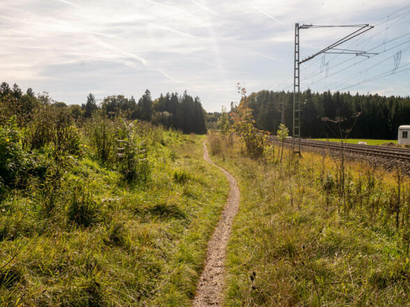 ein netter Trail entlang der Bahnschienen