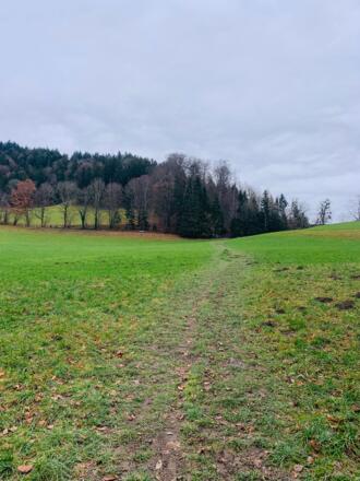 Wiesenhügel