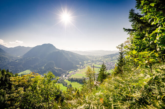 Blick auf das Imberger Horn