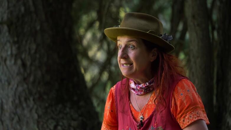 Die Sage „Das Nachtvolk und die Stieralpe“ erzählt von Hertha Glück auf Hochdeutsch ...