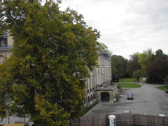 Schloss Donaueschingen