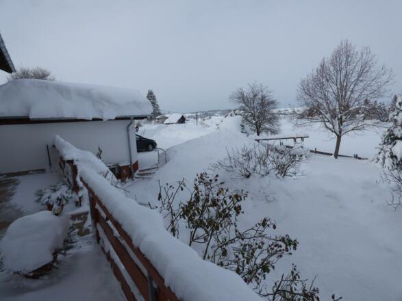 Blick auf die Terrasse und Einfahrt