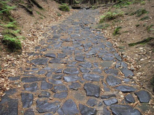 Weg in der Sächsischen Schweiz