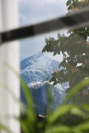 Alpspitzblick