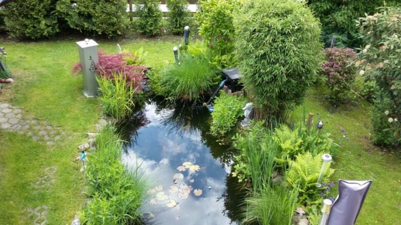 Unser Garten mit Teich im Sommer