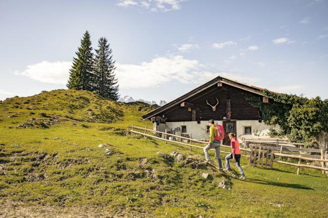 Koasa Trail - Alm