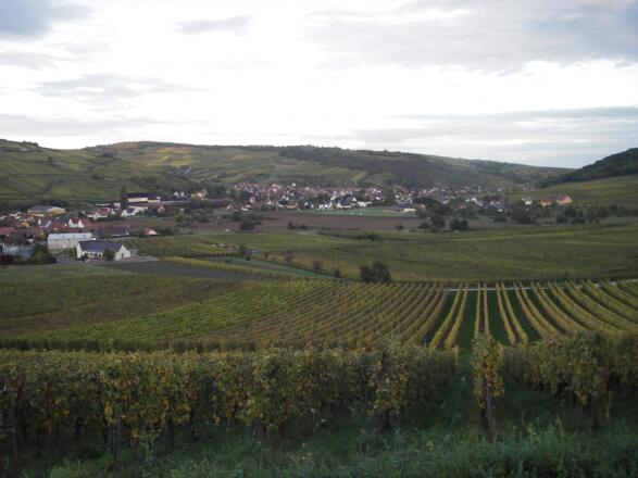 Dorf in Weingärten