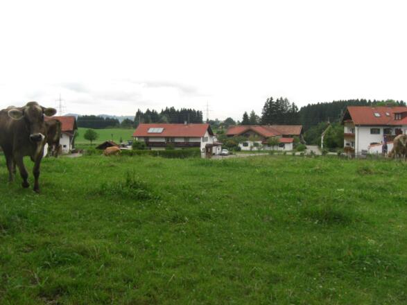 Haus Bolz, Sommer, Bild 4