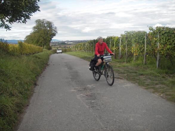 Radeln in Weingärten