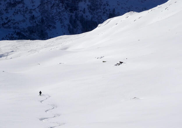Dann heißt es Ski in den Abfahrtsmodus stellen und ab in den Powder der unberührten Hänge unterhalb der Rossfallscharte.
