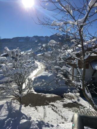 Blick auf die Alpspitze