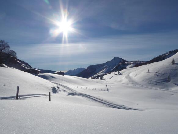 Auf dem Genneralmen-Plateau zweigt die Spur auf den Hohen Zinken ostwärts ab.