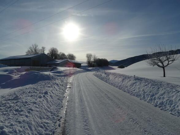 Winterlandschaft