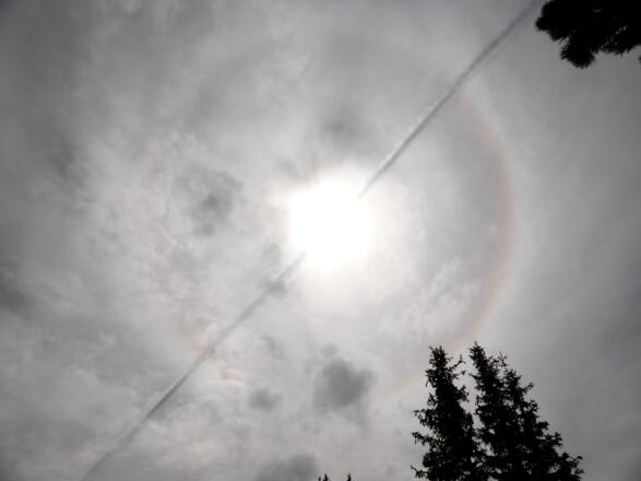 Halo