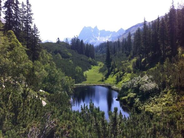 Schwarzsee Silbertal