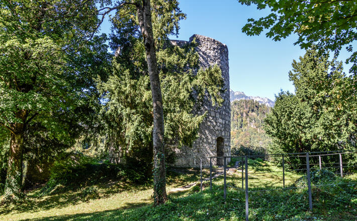 Die Burgruine Karlstein