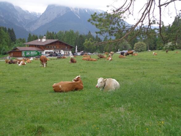 Almhütte