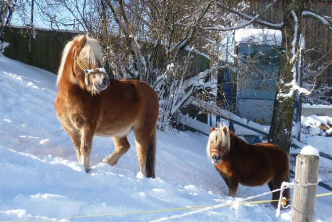 An der frischen Luft