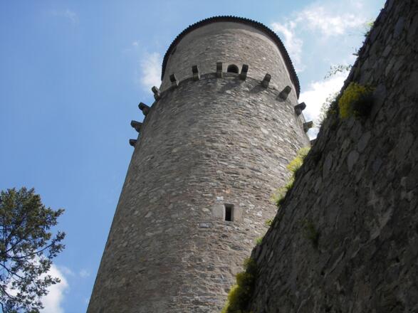 Turm Burg Zvikov
