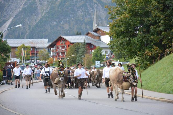 Viehscheid