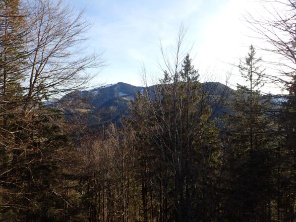 Ausblick zum Zwölferhorn